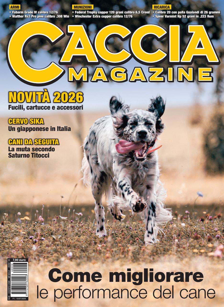 Caccia Magazine Preview Pages