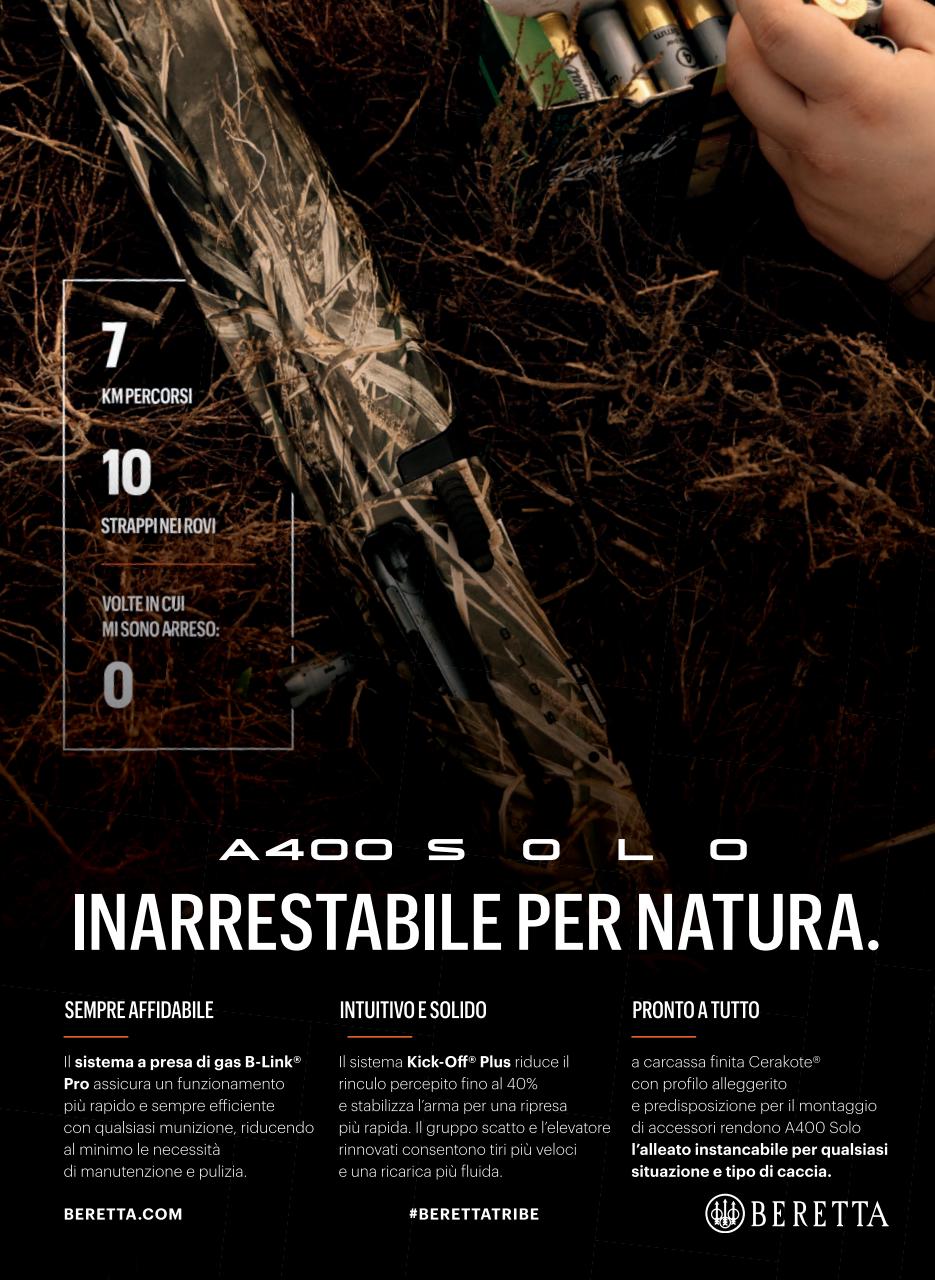 Caccia Magazine Preview Pages