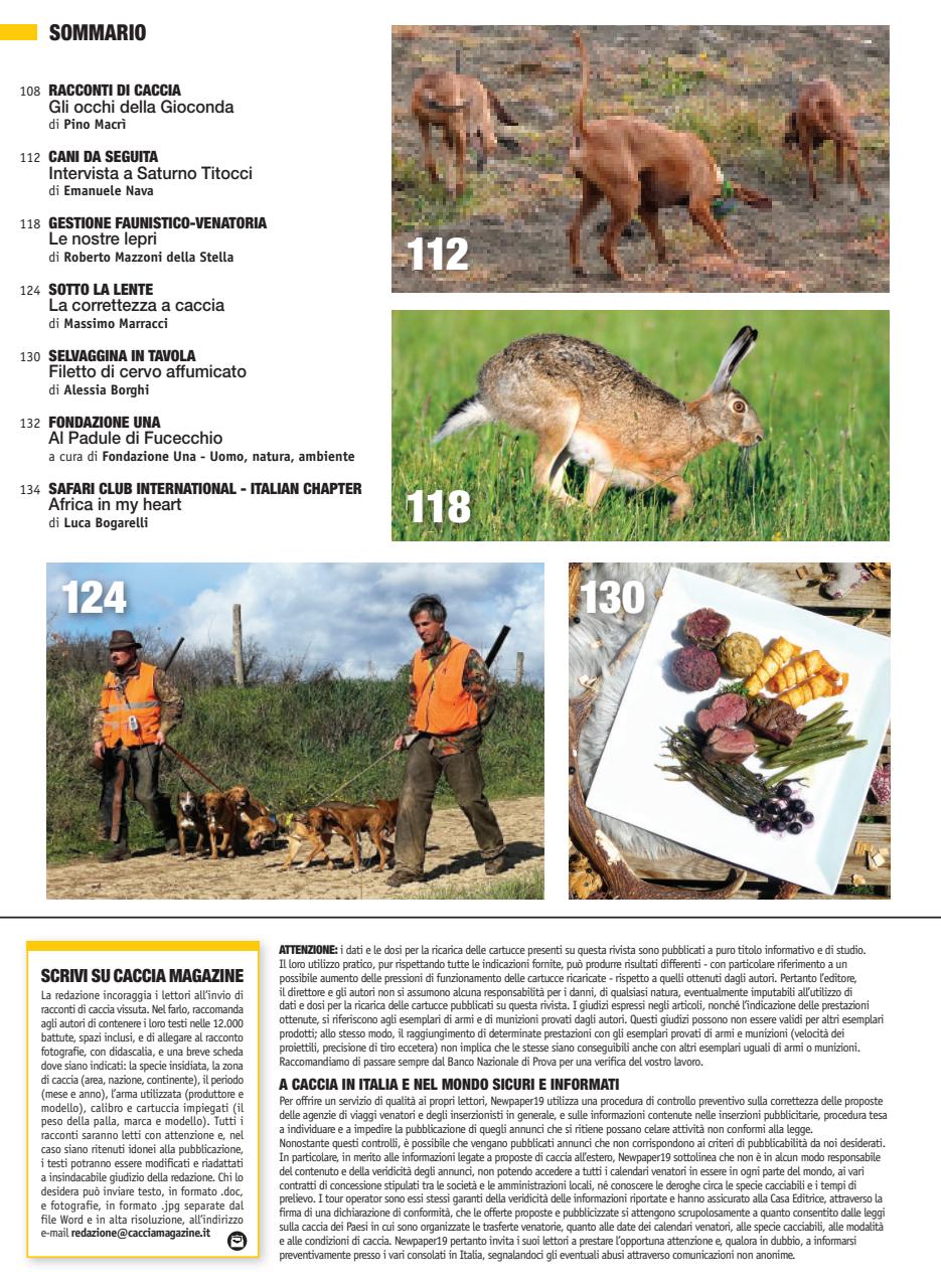 Caccia Magazine Preview Pages