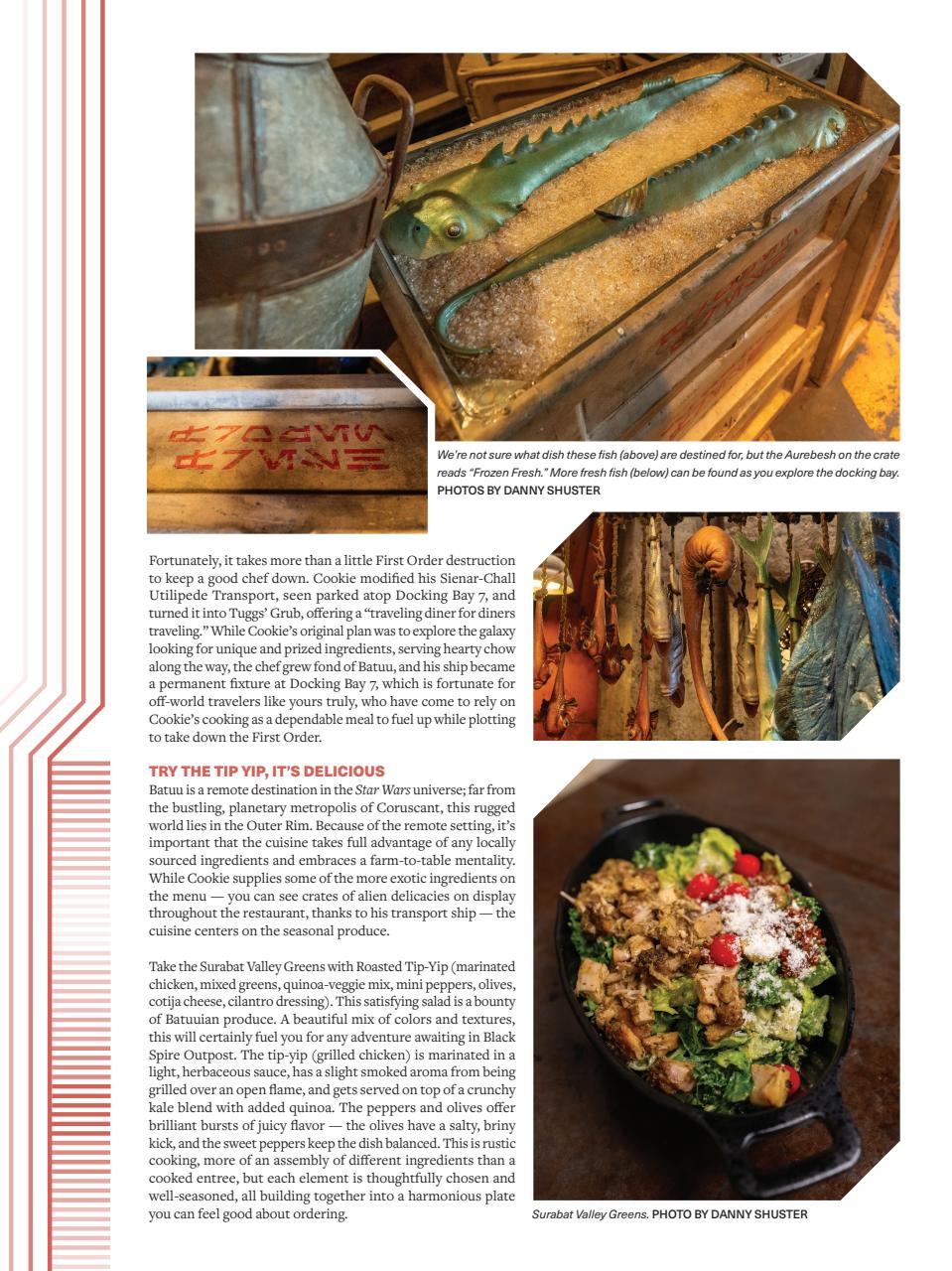 WDW Magazine Preview Pages