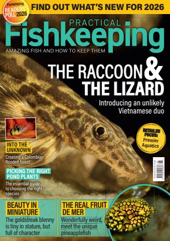 Practical Fishkeeping issue August 2026