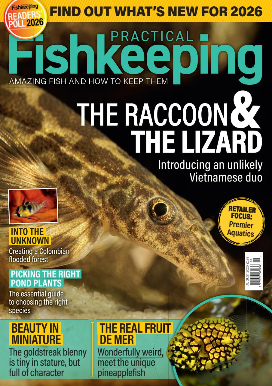 Practical Fishkeeping Preview Pages