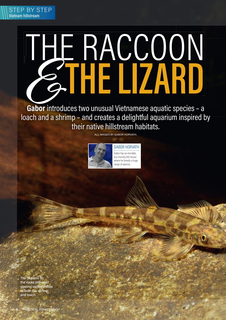 Practical Fishkeeping Preview Pages