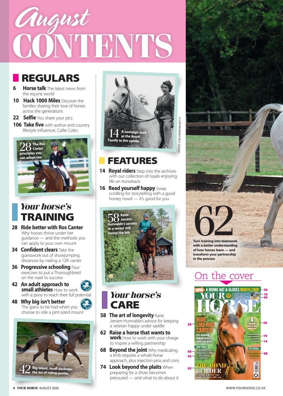 Your Horse Preview Pages