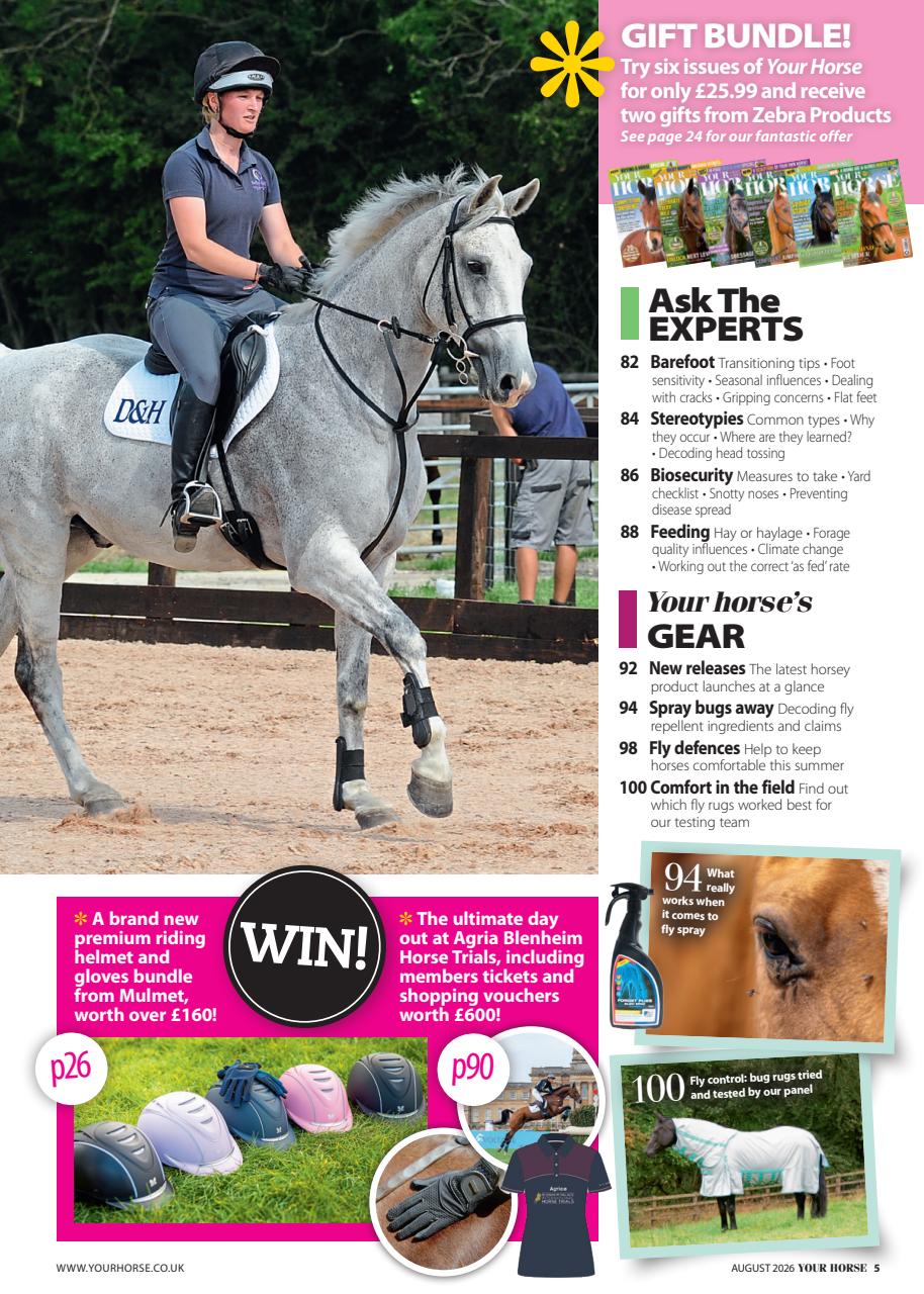 Your Horse Preview Pages