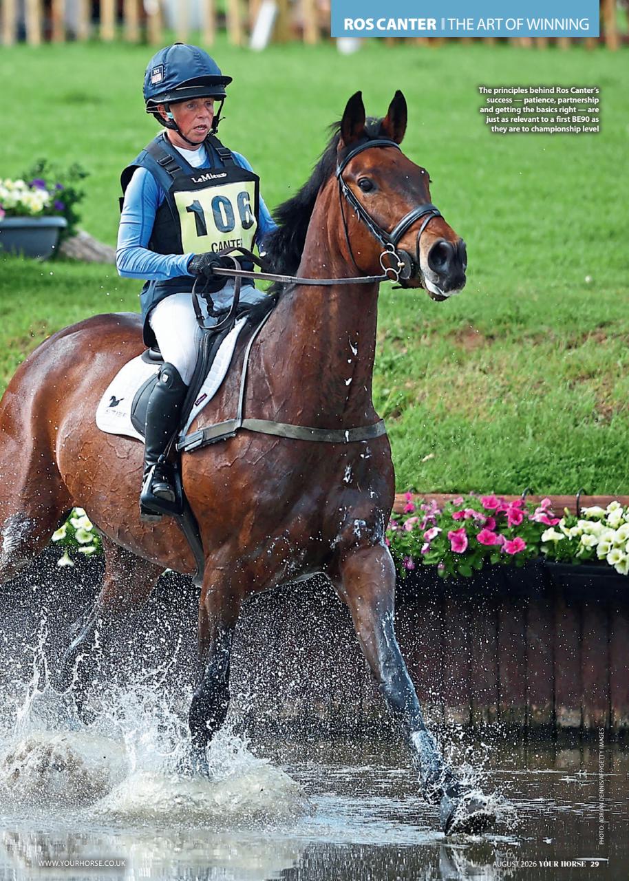 Your Horse Preview Pages