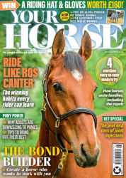 Your Horse Complete Your Collection Cover 1