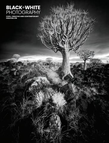 Black+White Photography issue Issue 316