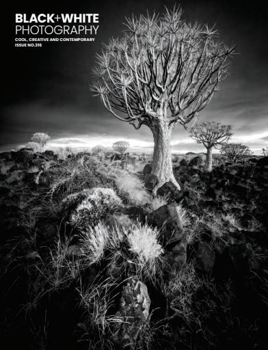 Black+White Photography issue 