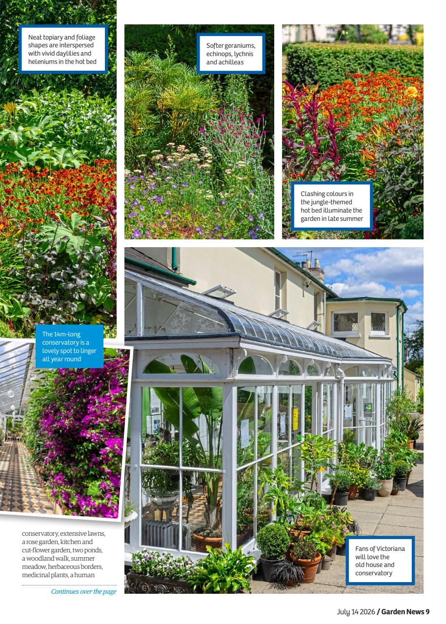 Garden News Preview Pages