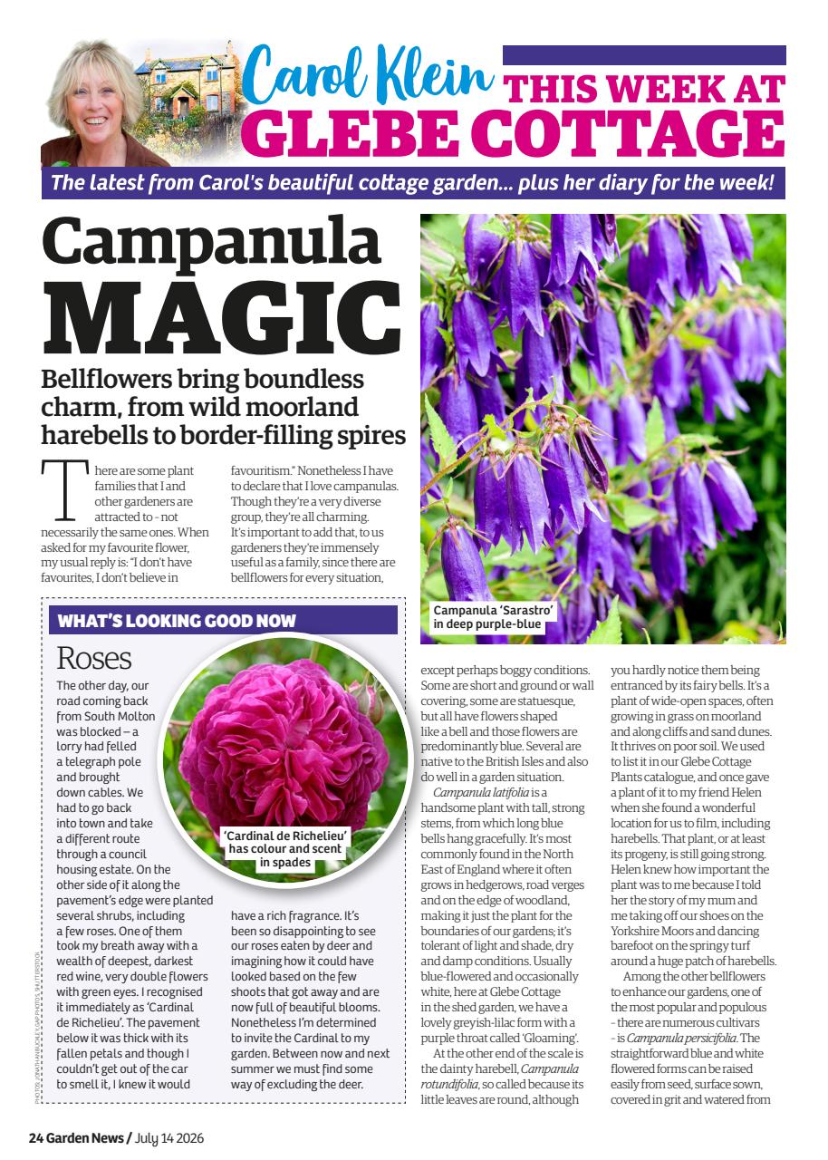 Garden News Preview Pages
