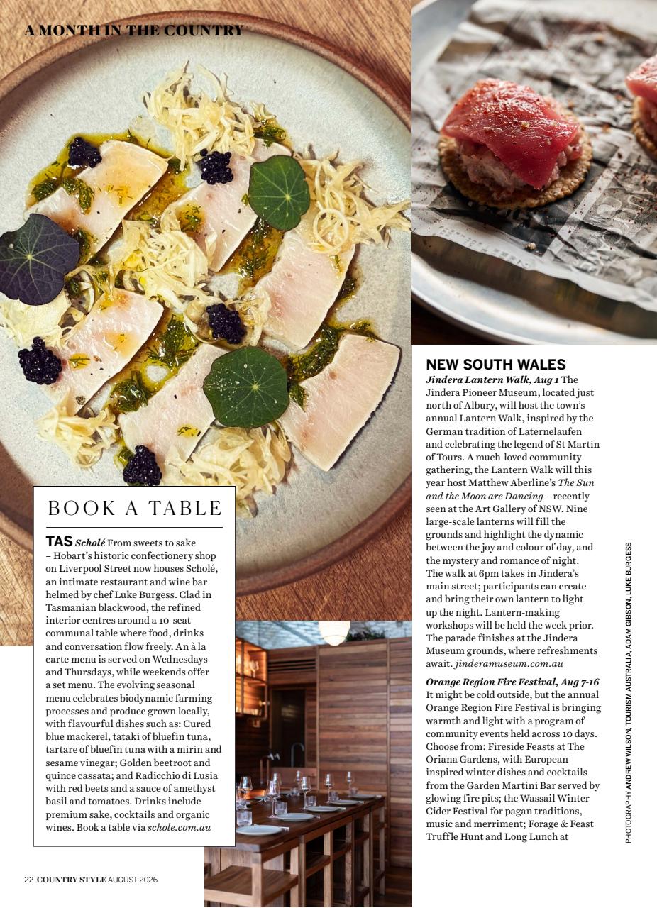 Country Style Preview Pages