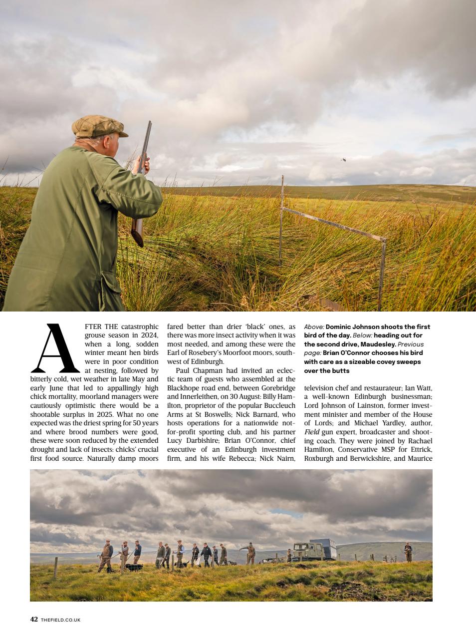 The Field Preview Pages