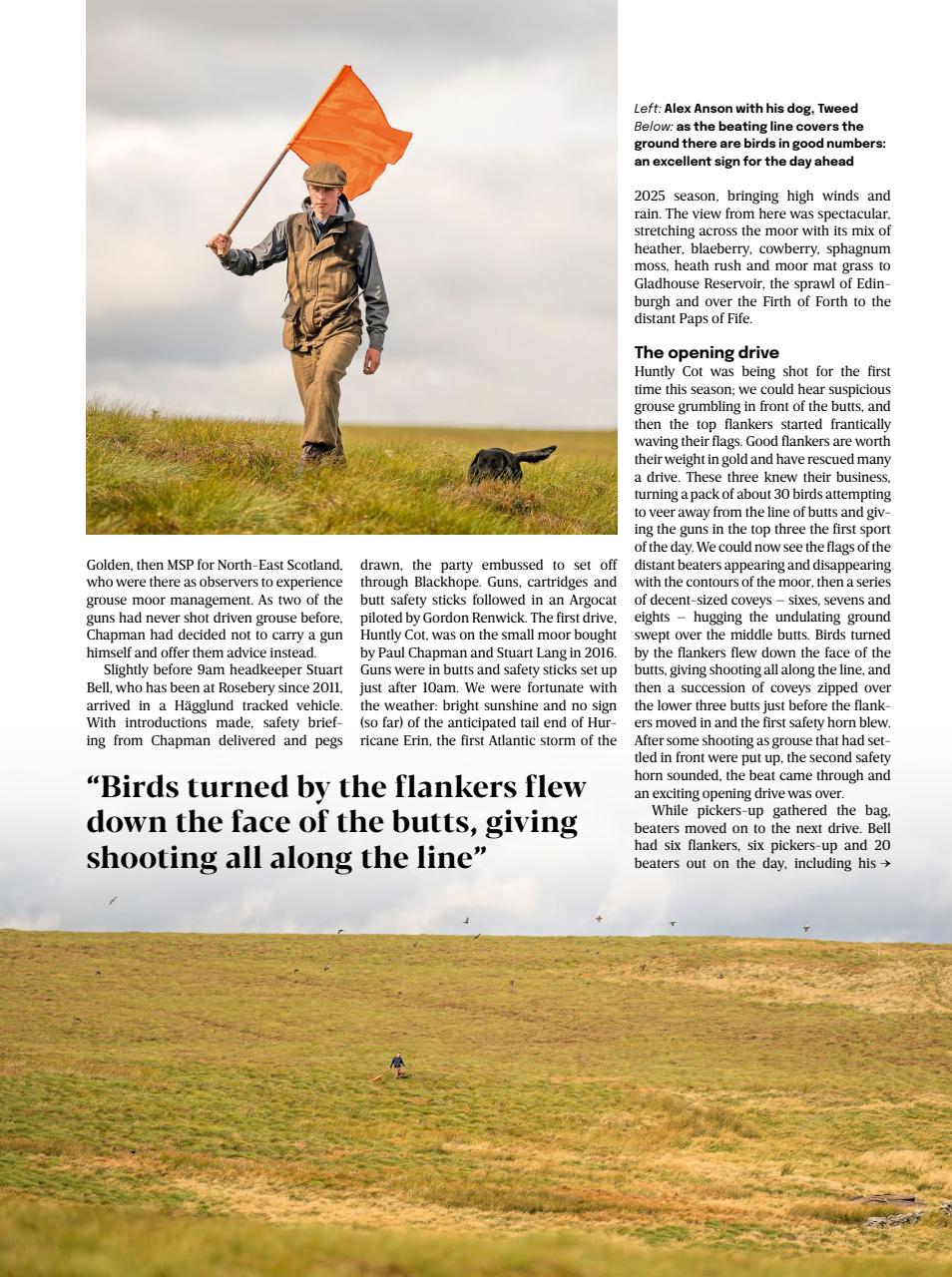 The Field Preview Pages