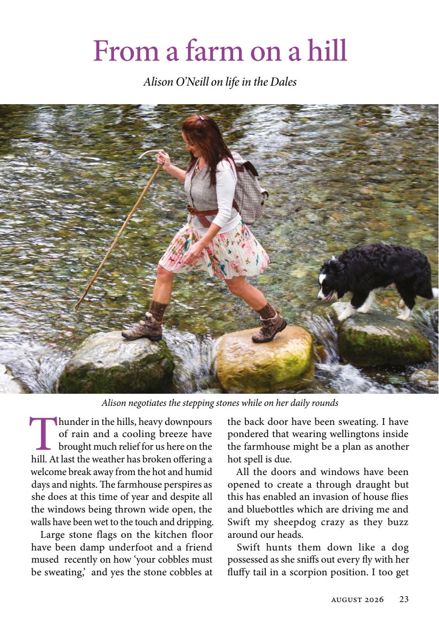The Yorkshire Dalesman Preview Pages