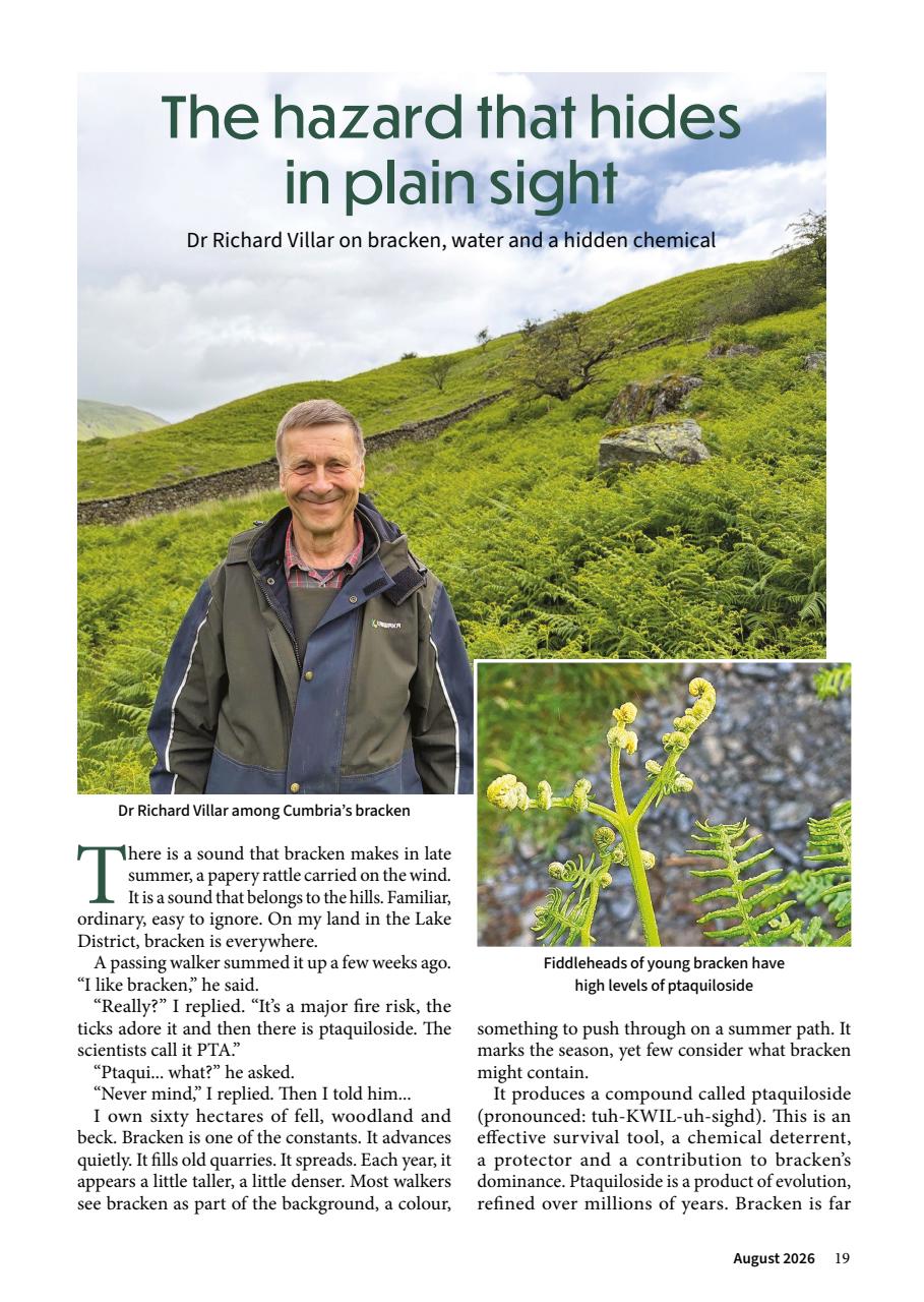 Cumbria and Lakeland Walker Preview Pages