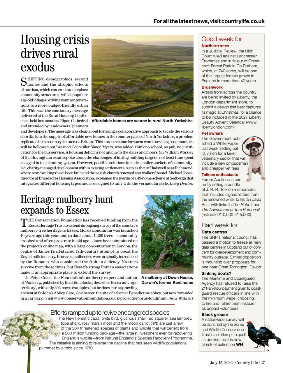 Country Life Preview Pages