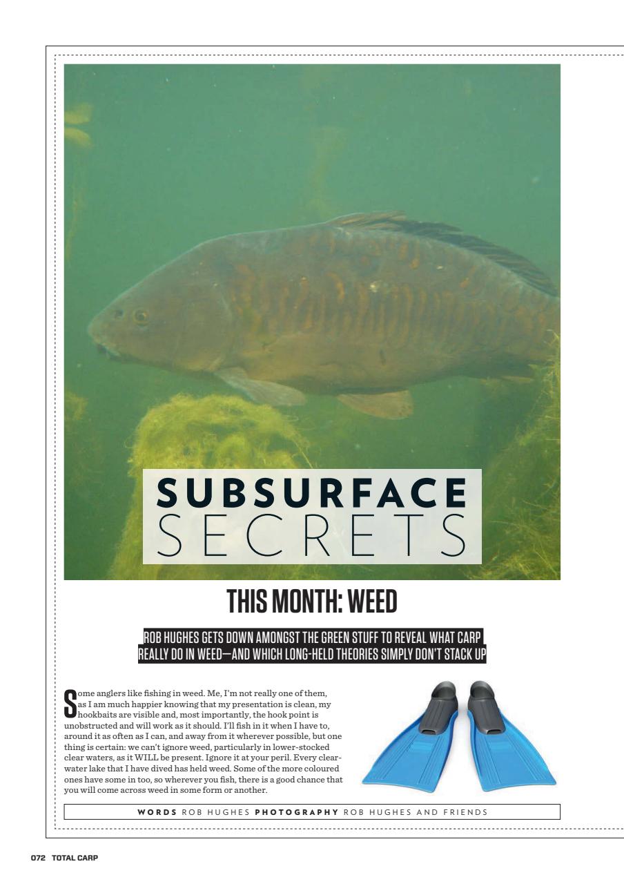 Total Carp Preview Pages