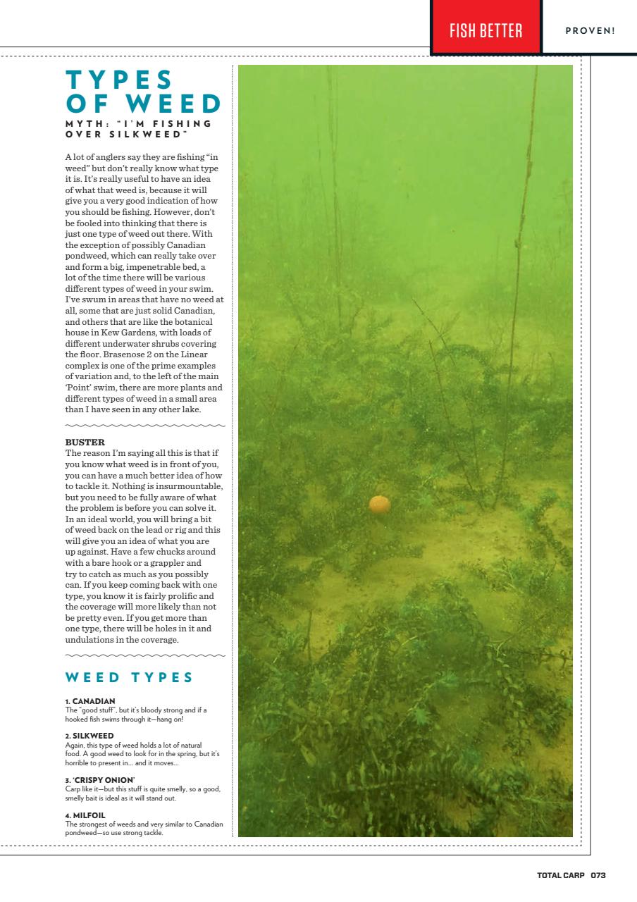 Total Carp Preview Pages