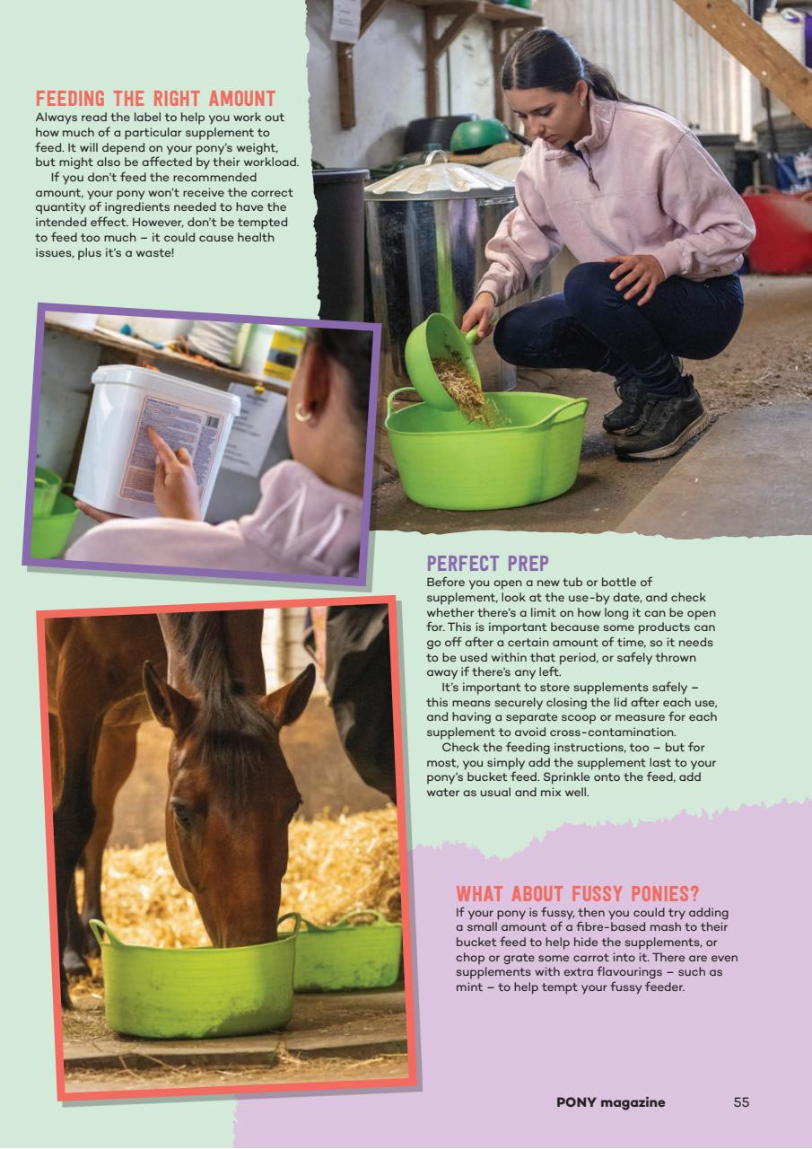 Pony Magazine Preview Pages