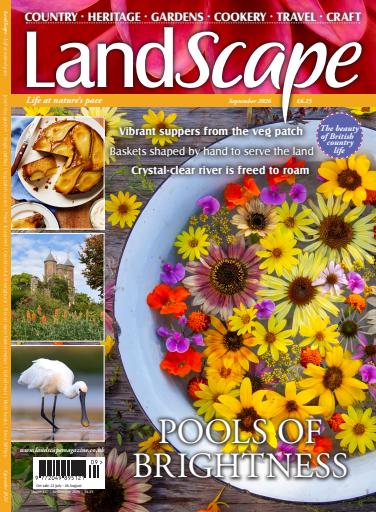 LandScape issue 