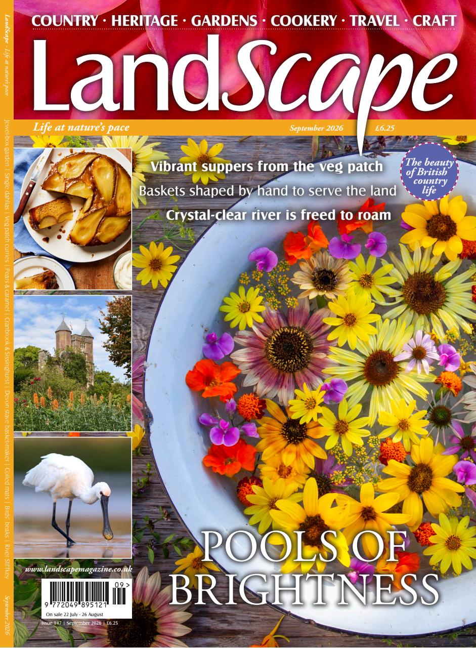 LandScape Preview Pages