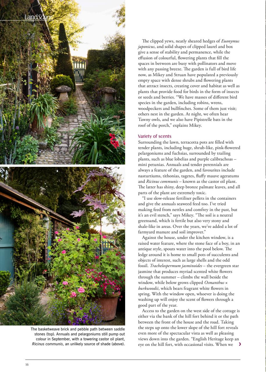 LandScape Preview Pages