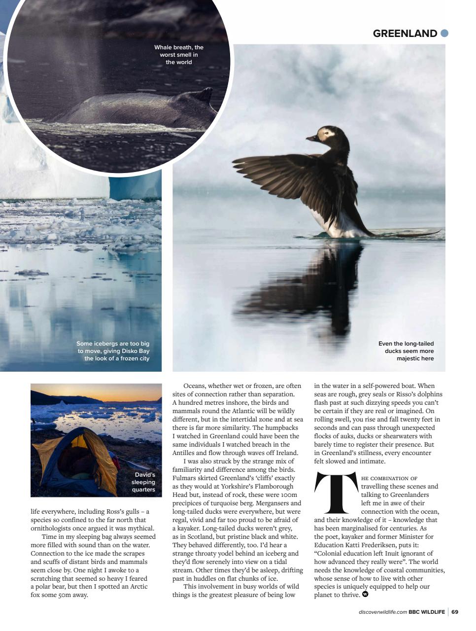 BBC Wildlife Magazine Preview Pages