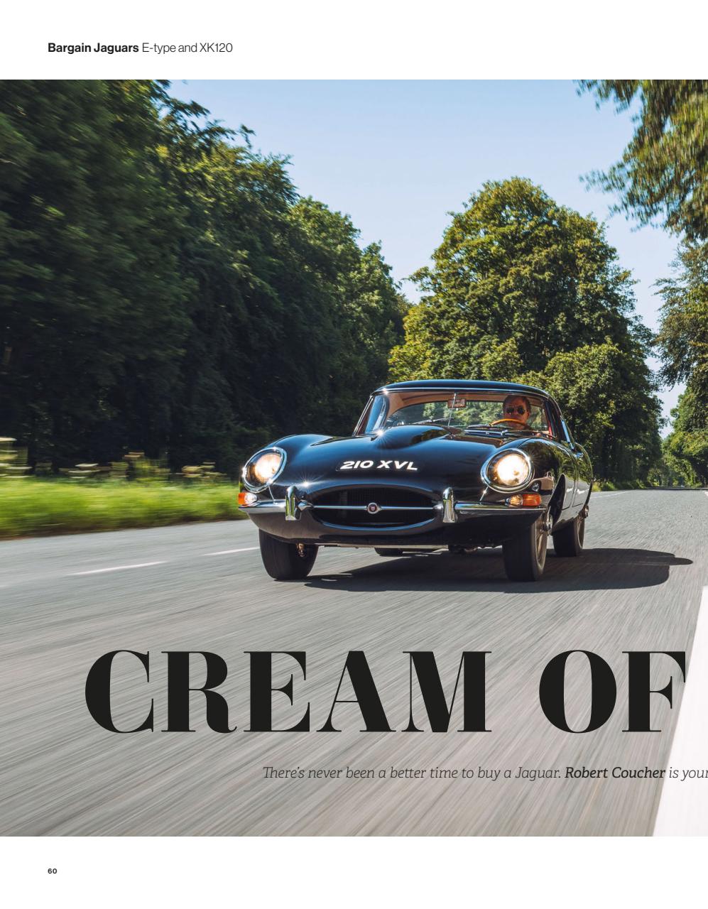 Octane Preview Pages