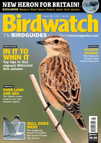 Birdwatch Magazine issue August 2026