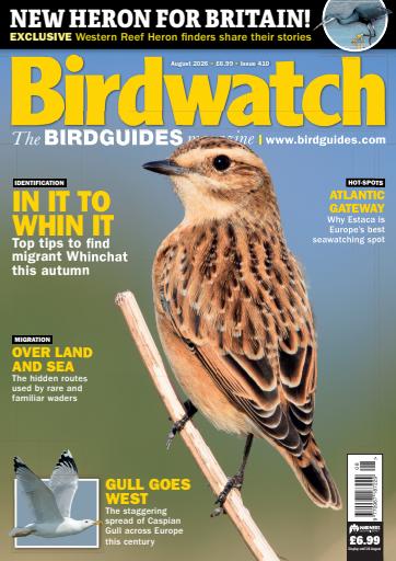 Birdwatch Magazine issue 