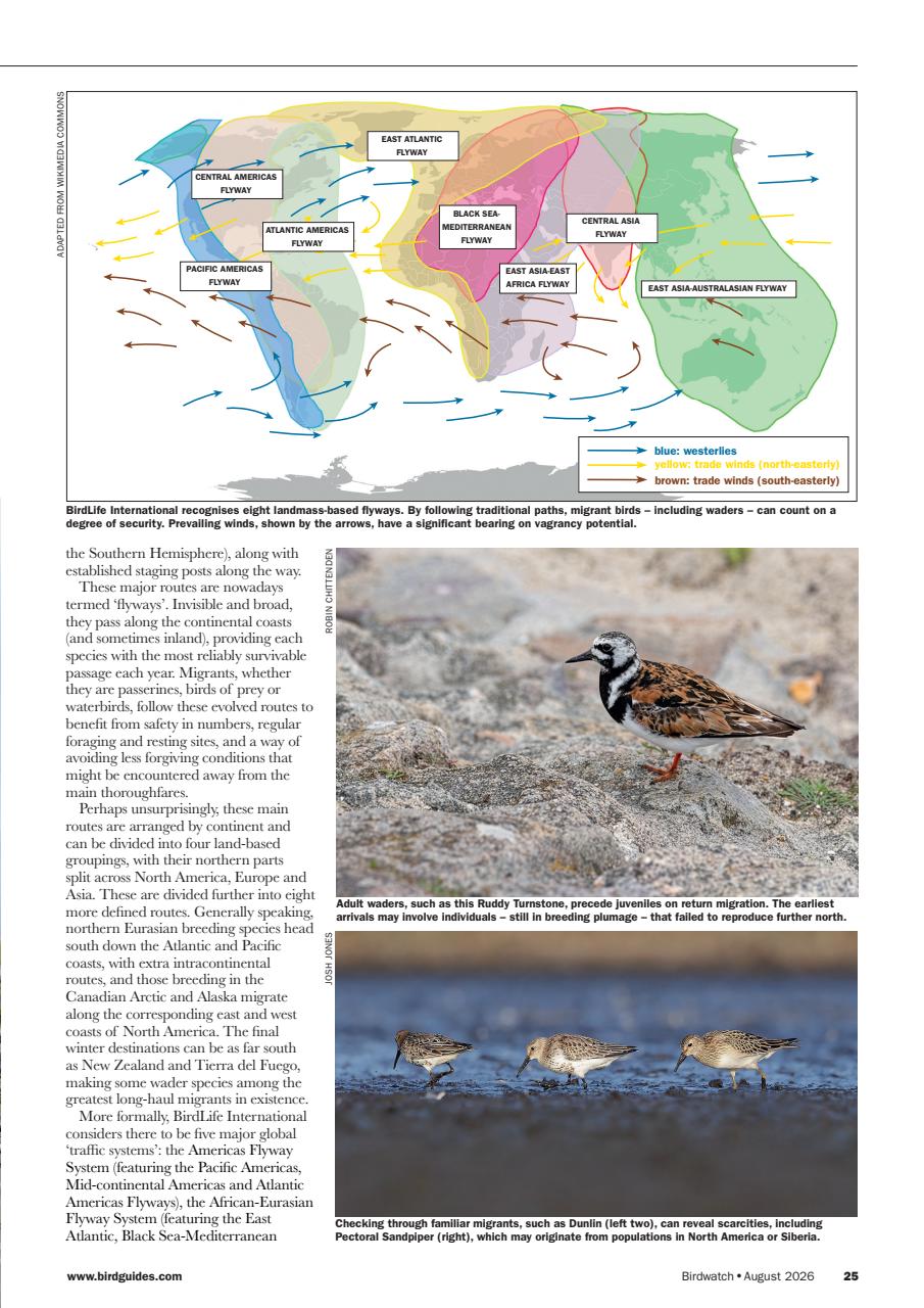 Birdwatch Magazine Preview Pages