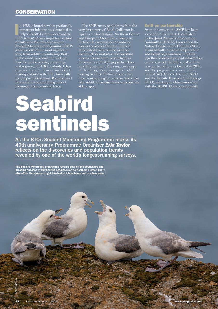 Birdwatch Magazine Preview Pages