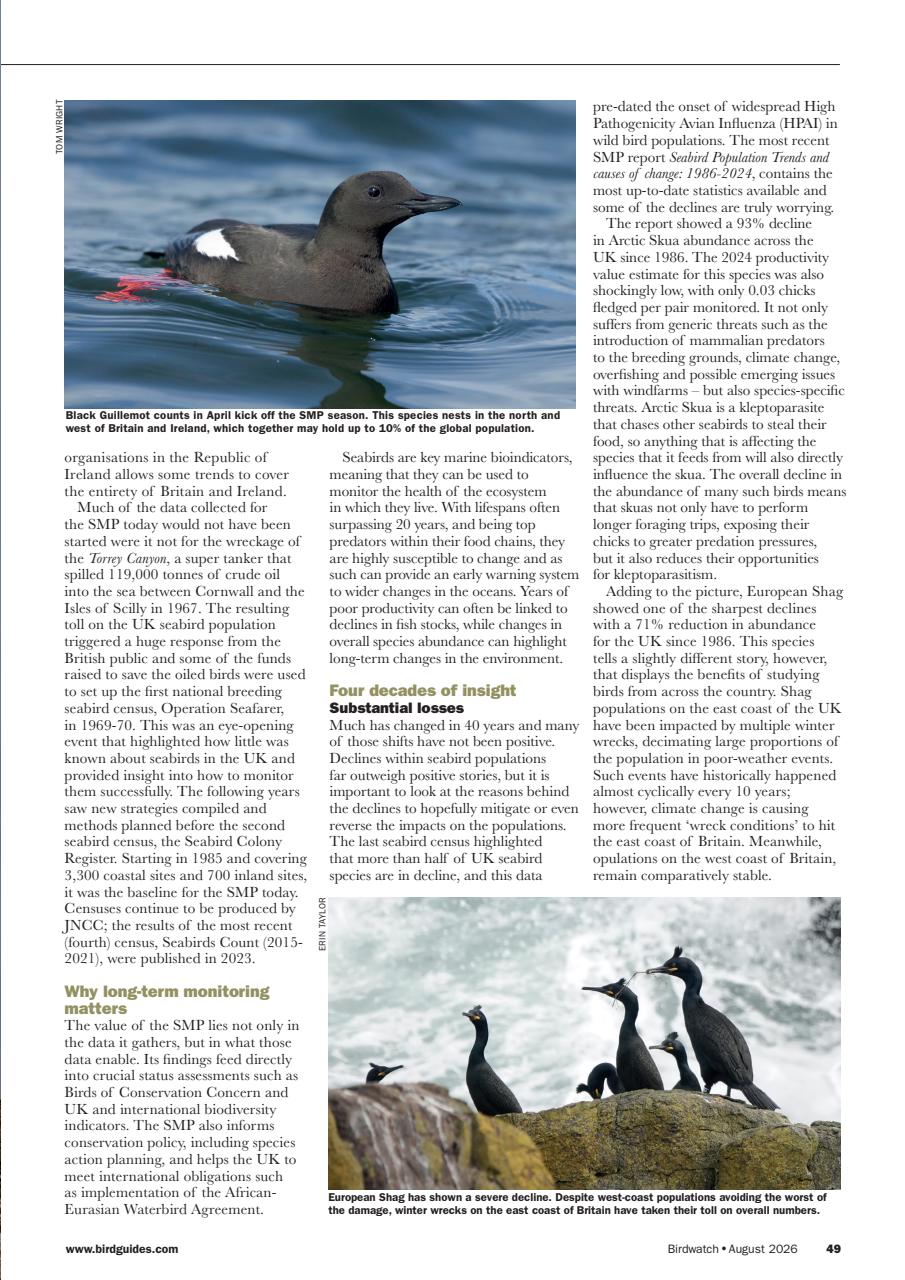 Birdwatch Magazine Preview Pages