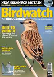 Birdwatch Magazine Complete Your Collection Cover 1