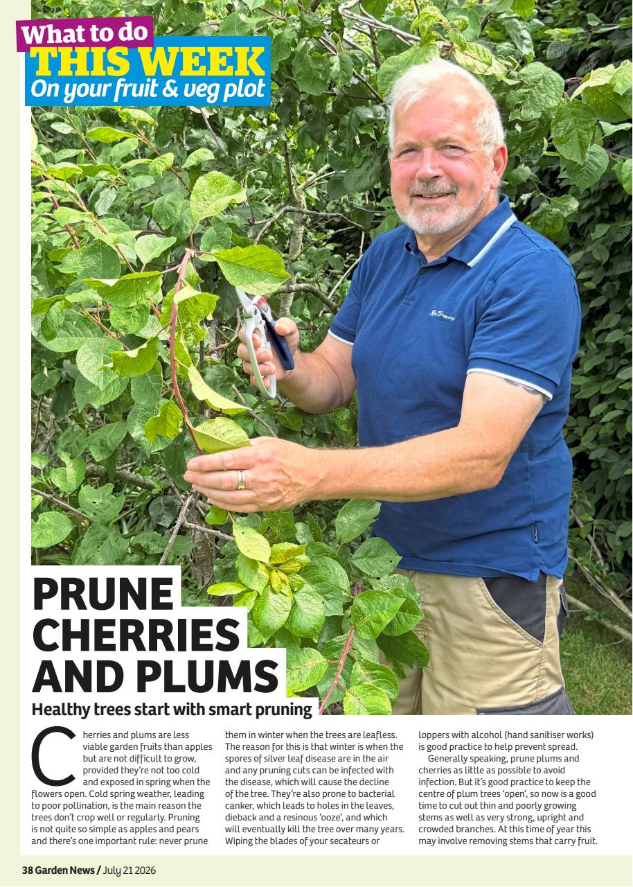 Garden News Preview Pages