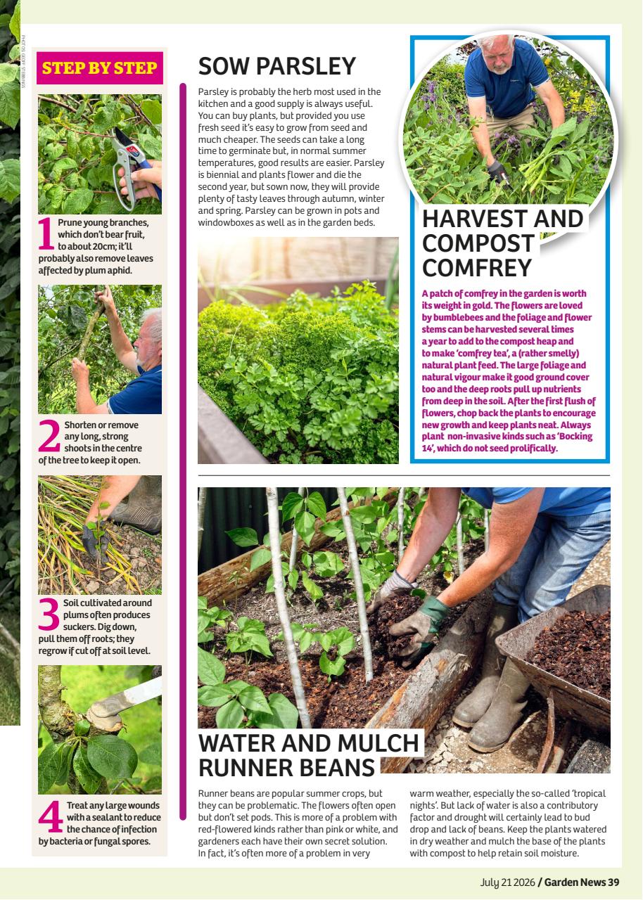Garden News Preview Pages