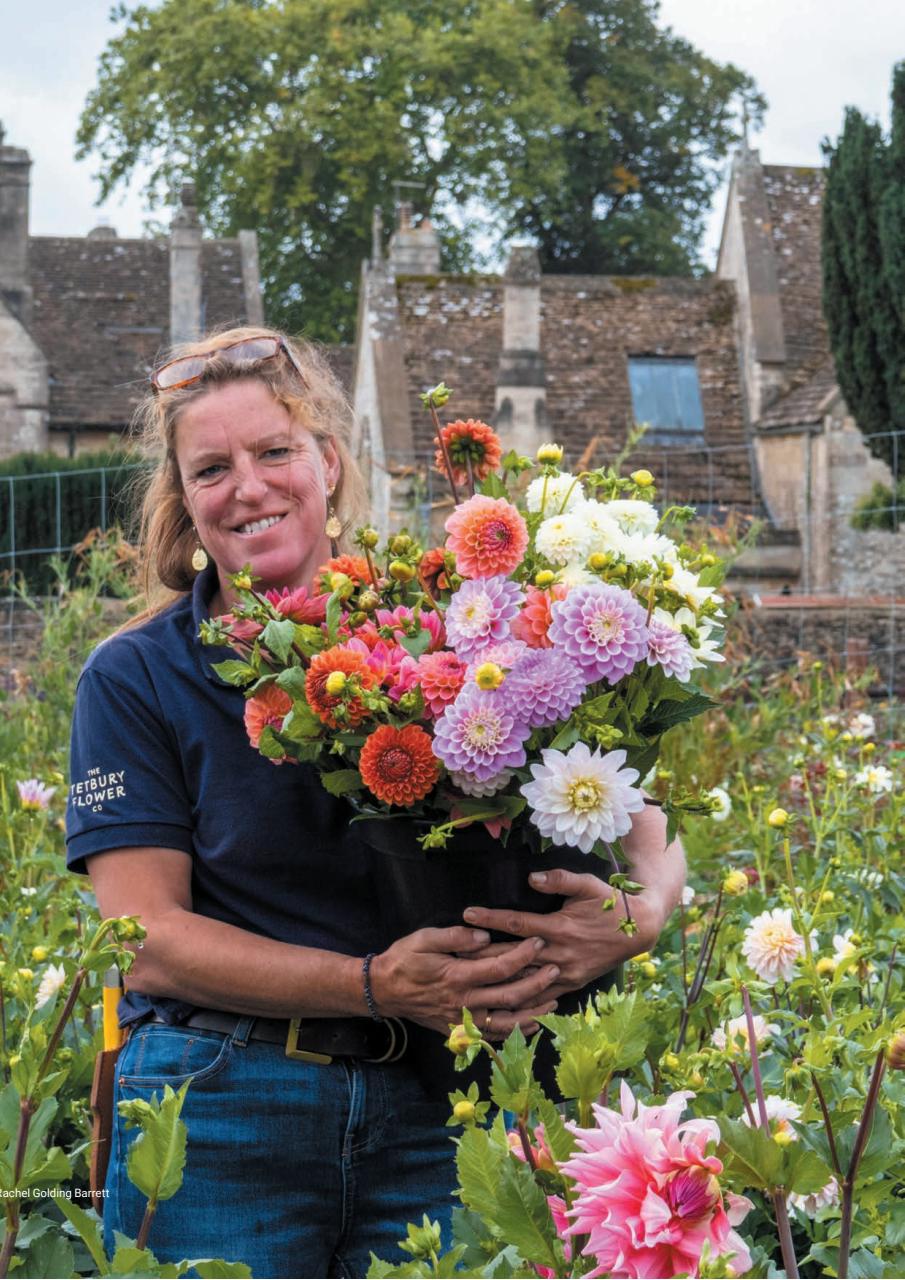 Cotswold Life Preview Pages