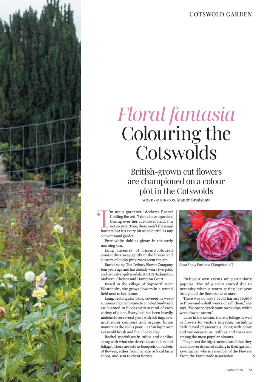 Cotswold Life Preview Pages