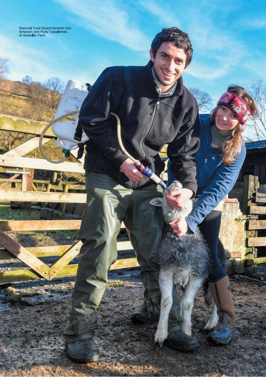 Cumbria Life Preview Pages