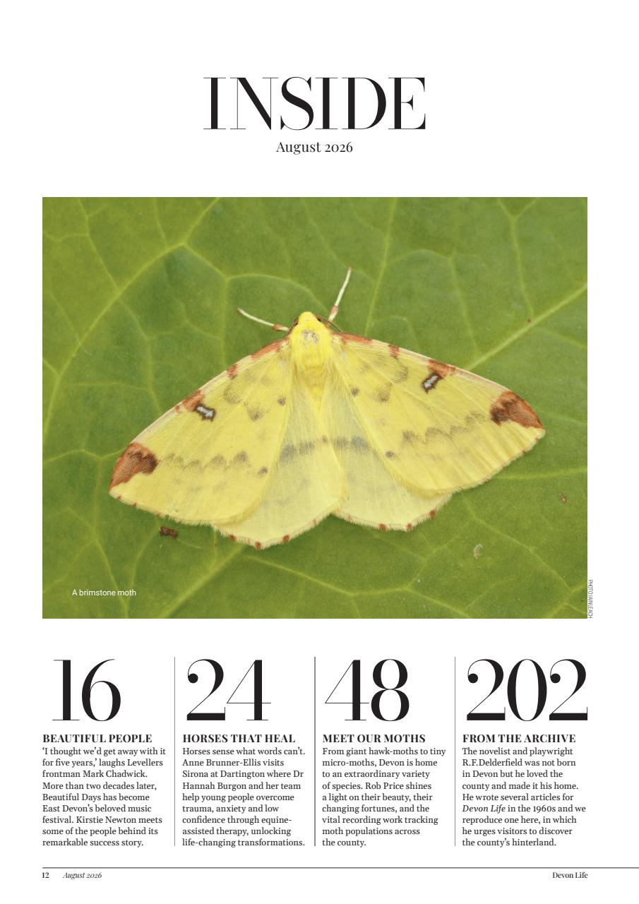 Devon Life Preview Pages