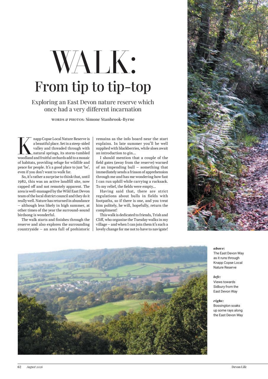 Devon Life Preview Pages