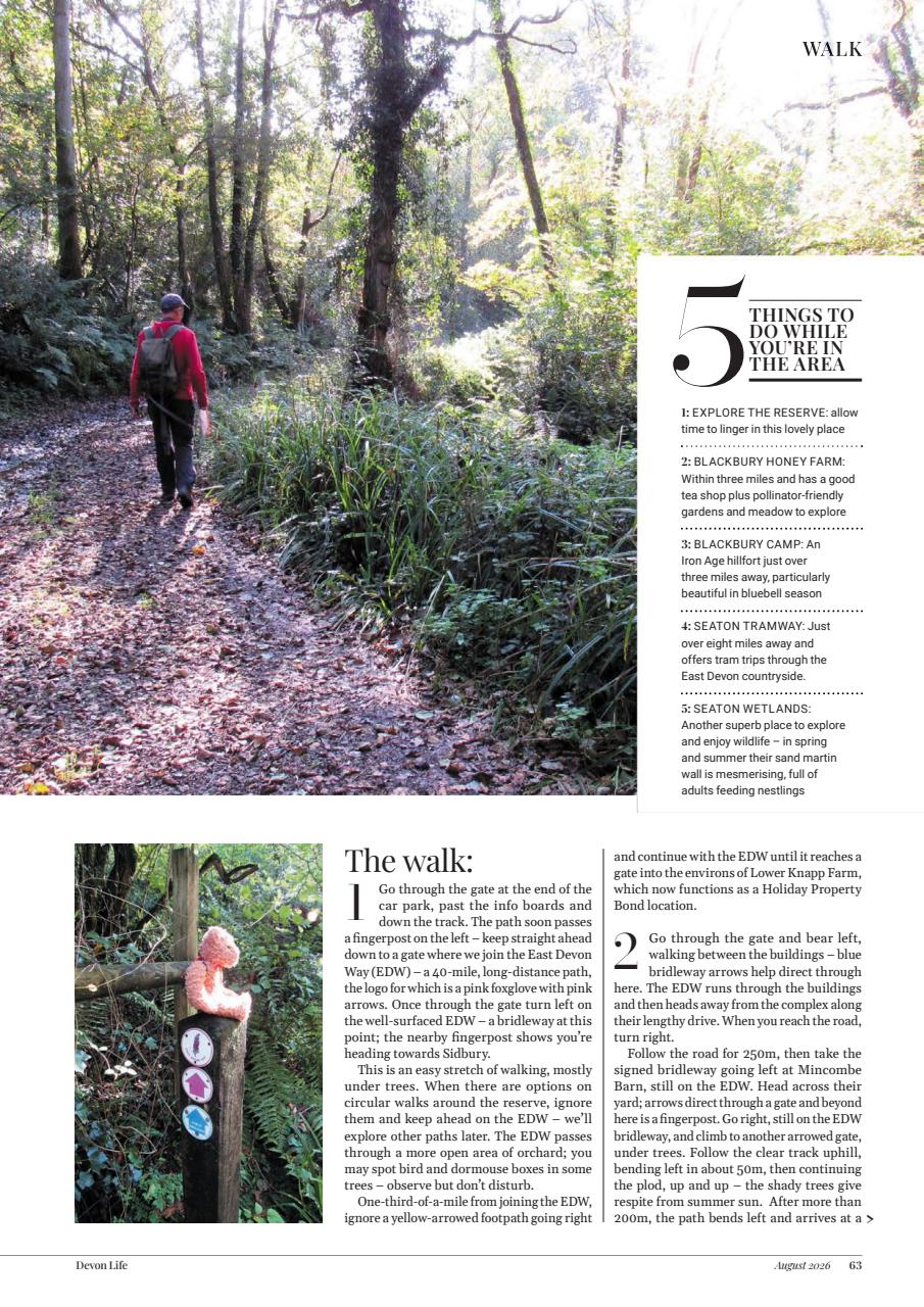 Devon Life Preview Pages