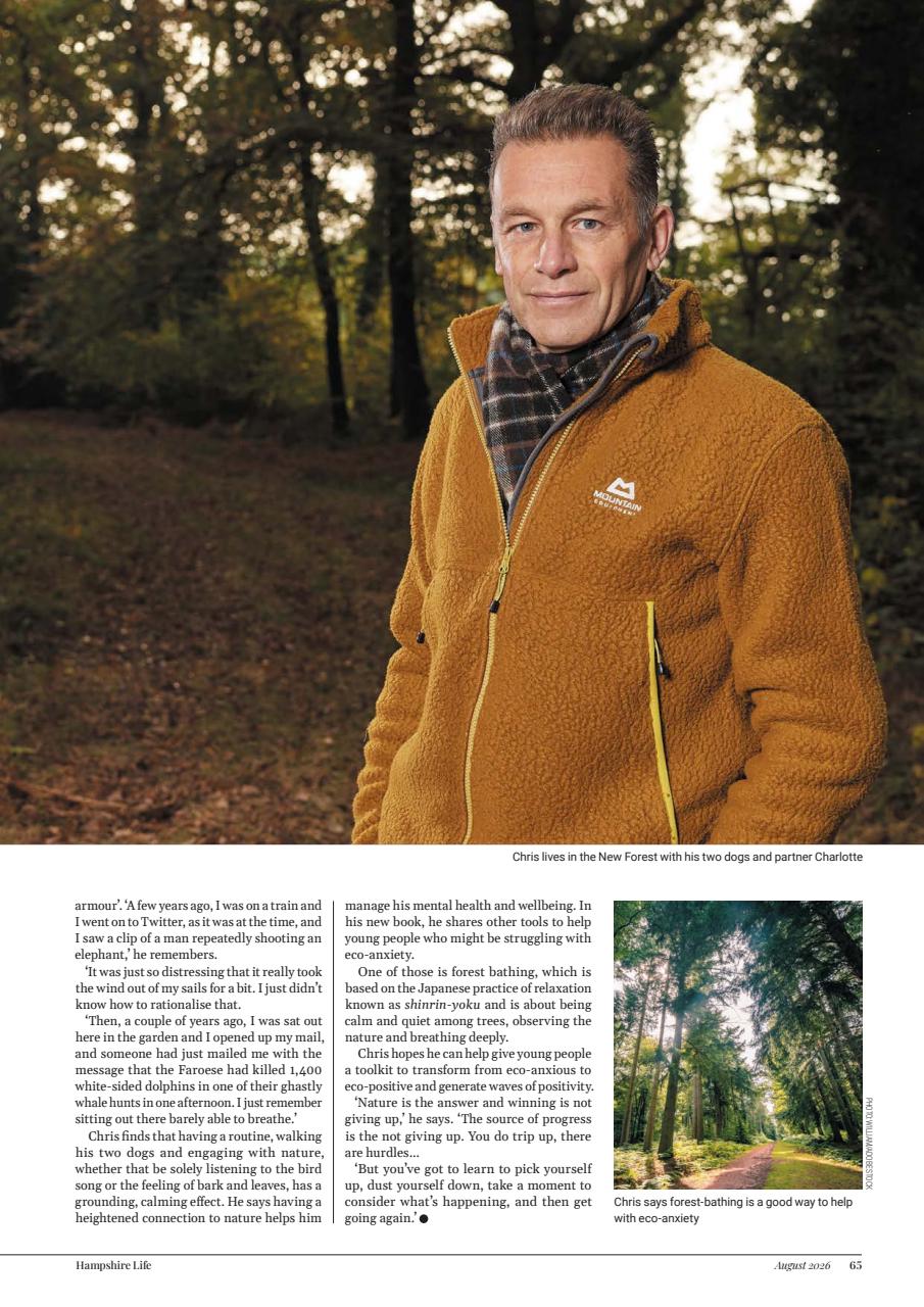 Hampshire Life Preview Pages