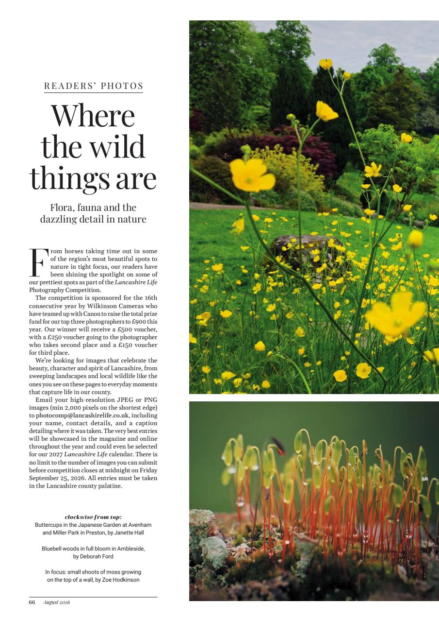 Lancashire Life Preview Pages