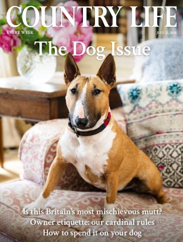 Country Life issue 22nd July 2026