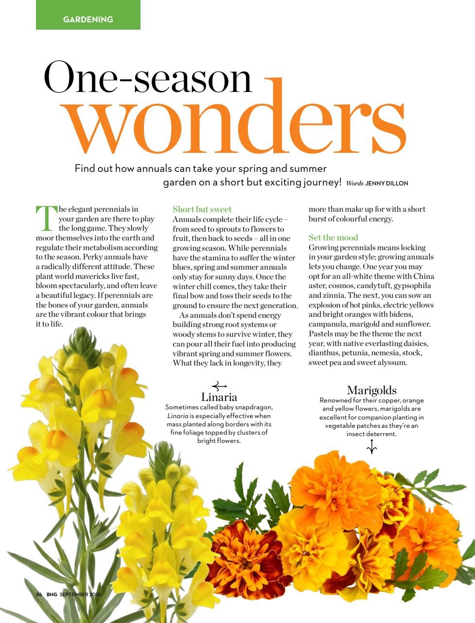 Better Homes and Gardens (Aus) Preview Pages