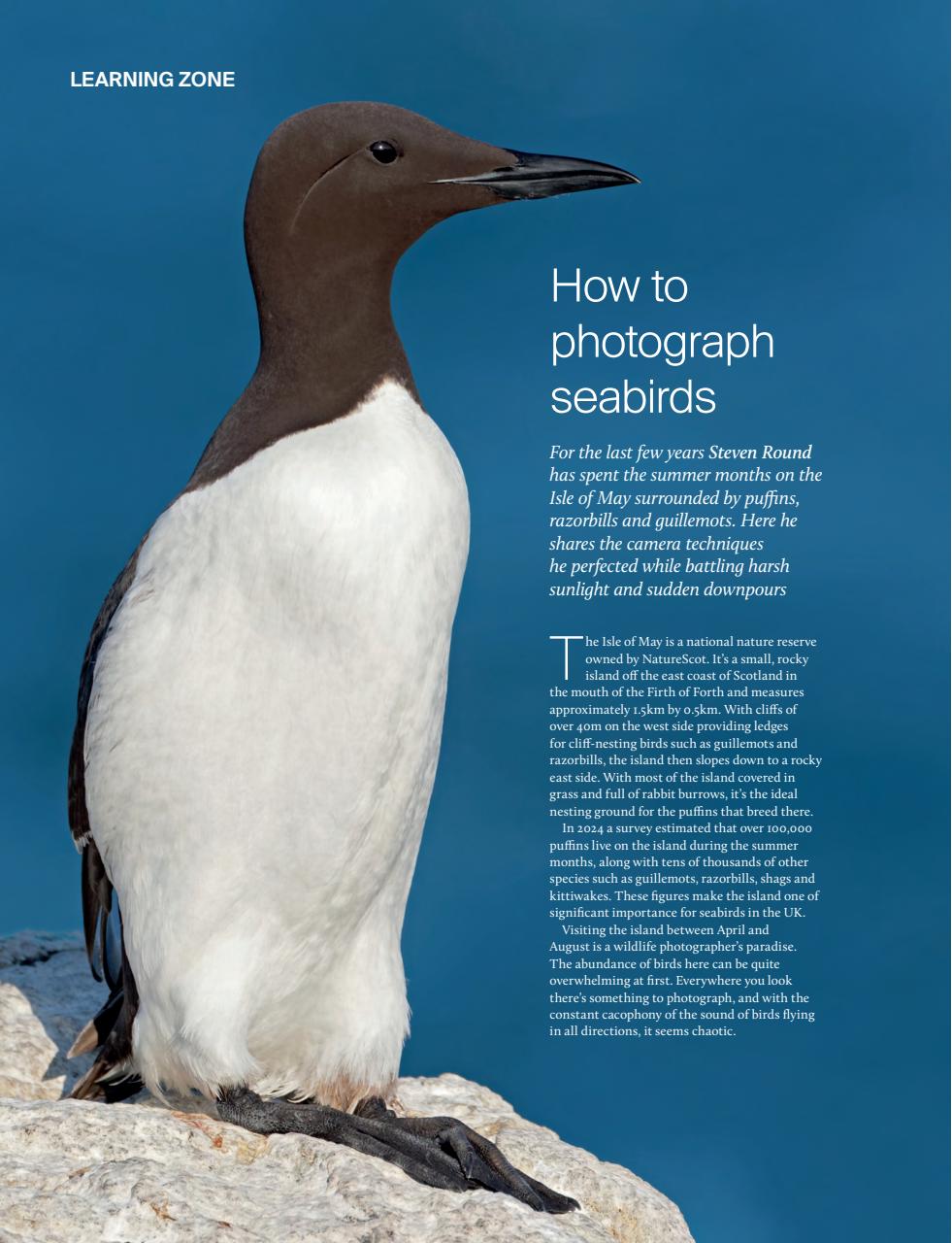 Outdoor Photography Preview Pages