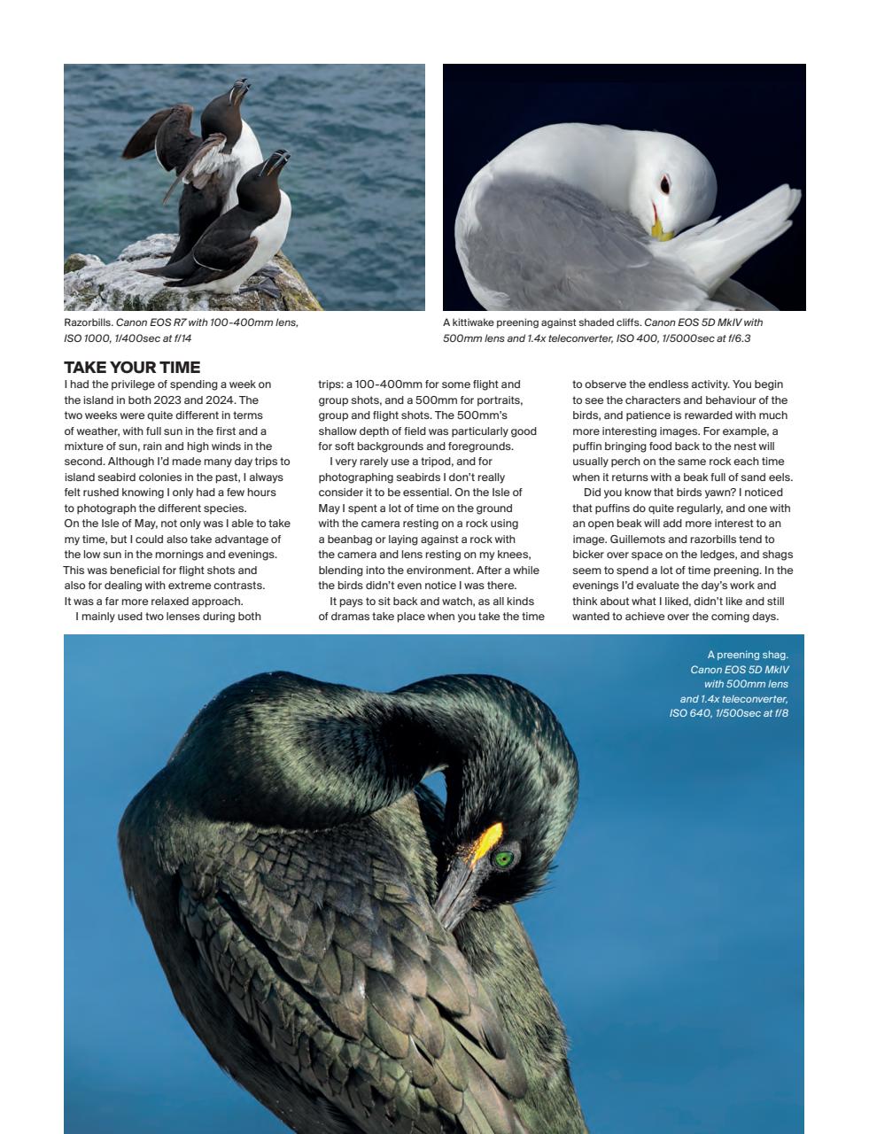 Outdoor Photography Preview Pages