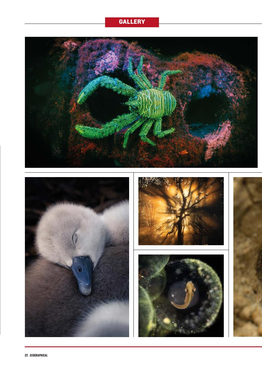 Geographical Preview Pages